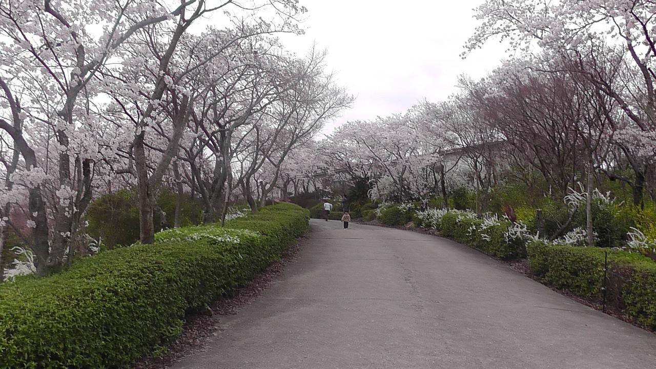 Nikkoen Hotel Nishiwaki Luaran gambar
